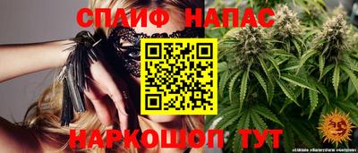 ешки Моздок