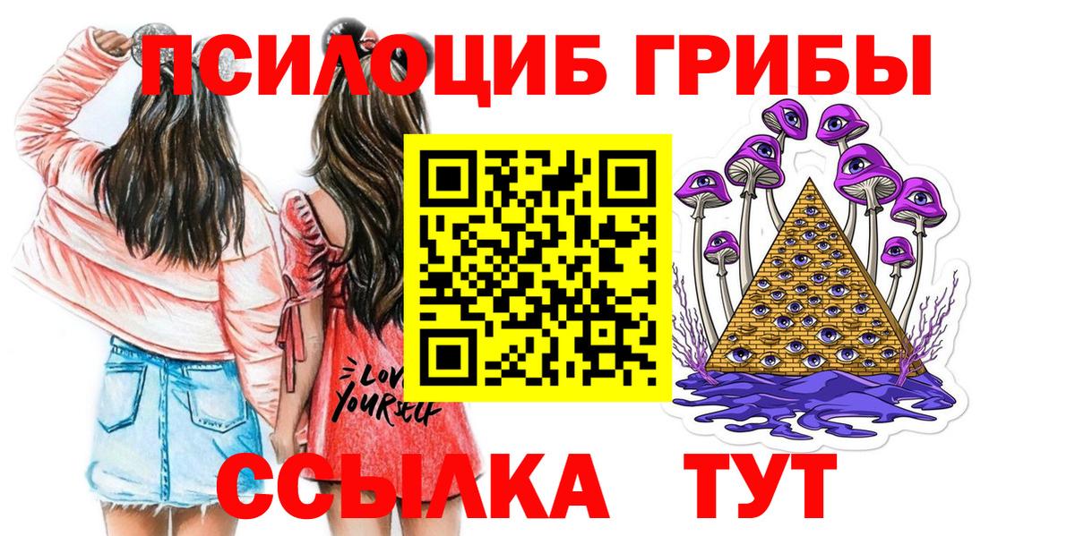 Псилоцибиновые грибы Psilocybine cubensis Боровичи