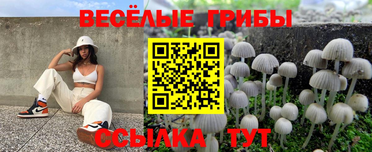 цена наркотик  Псилоцибиновые грибы ЛСД  Вход с VPN  Боровичи 